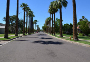 Willo Historic District Street